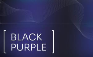 TEREA Black Purple Menthol Japan pack