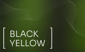 TEREA Black Yellow Menthol Japan pack